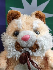 Pisica Democrescu, Minister of Digital Affairs