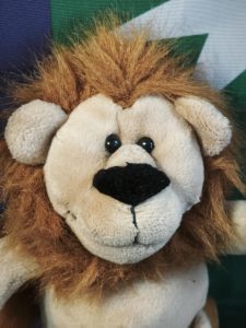 Leo Libereanu, Minister of Justice and Internal Affairs