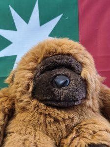 Adam Banici, Minister of Trade, Energy and Economic Development